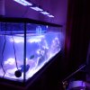 IMG_20161121_202206.jpg