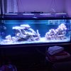 IMG_20161204_092342_hdr.jpg