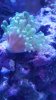 20170106_202749.jpg