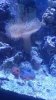 20161129_234321.jpg
