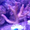 IMG_20170130_184441.jpg