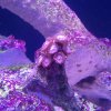 IMG_20170130_184240.jpg