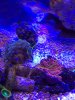 IMG_0183.JPG