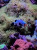 IMG_1.jpg