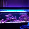 IMG_20170501_171803.jpg