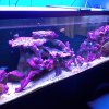 IMG_20170501_171825.jpg