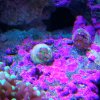 IMG_20170501_171850.jpg
