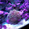 IMG_20170501_171925.jpg