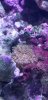 20180829_214729.jpg