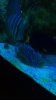 E094E230-AE39-4069-839D-6995B9282CF8.jpeg