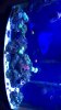 609D32CC-4C38-4B0F-A7D6-BB8D694218AB.jpeg