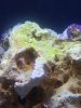 IMG_20180924_2146406.jpg