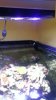 20150309_074432.jpg