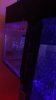 20150309_084522.jpg