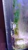 20201023_185543.jpg