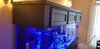 20201122_153123.jpg