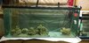 20201207_202206.jpg