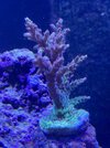 IMG_2663.jpeg