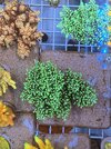 IMG_4096.jpeg