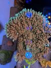 IMG_4083.jpeg