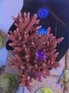 IMG_4082.jpeg