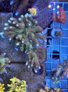 IMG_4021.jpeg