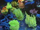 IMG_3574.jpeg