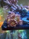 IMG_4110.jpeg