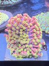 IMG_3718.jpeg