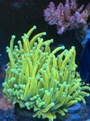 IMG_3455.jpeg