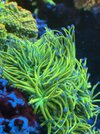 IMG_3454.jpeg