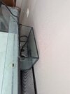 PXL_20260228_185845701.jpg