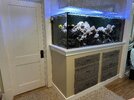 IMG_2919.jpeg