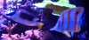 IMG_20151017_222552_edit1.jpg