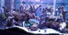 20160429_214430 (2) (640x337).jpg