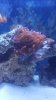 20160709_175921.jpg
