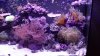 20160917_194504.jpg