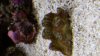 20160921_183217.jpg