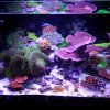 IMG_20160707_185046.jpg